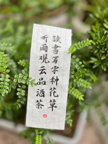 读书写字种花草的好处_如何打造家庭书香花园