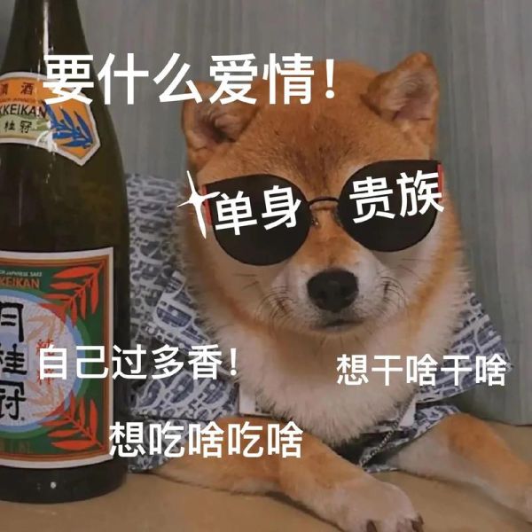 为什么我总是单身_如何幽默表达我喜欢你