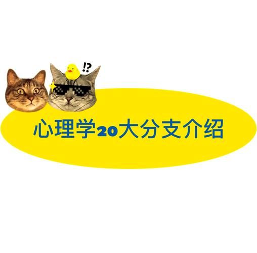 心理学分支有哪些_如何选择适合的心理学分支