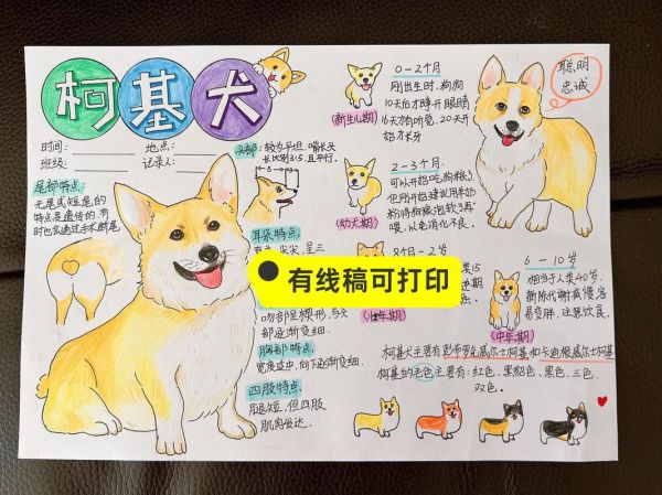 动物百科读书笔记_如何高效记忆动物知识