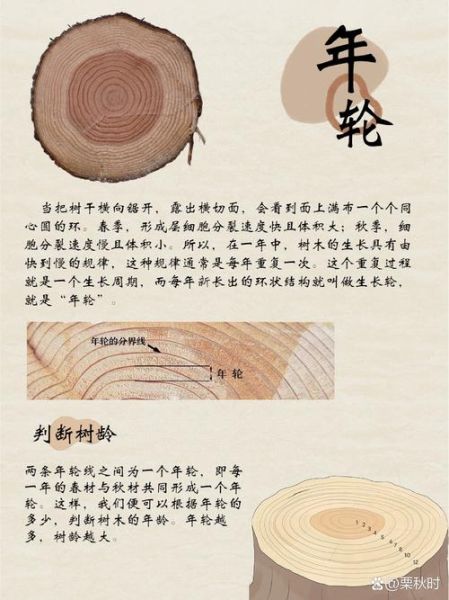 年轮怎么表达情感_树木年轮记录情感吗