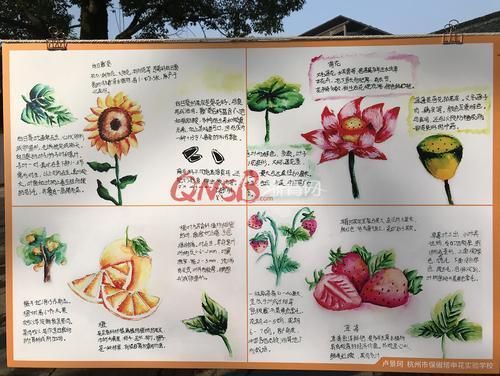 自然百科读书笔记怎么写_如何提炼核心信息