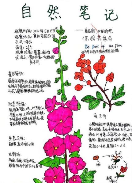 如何记录自然百科读书笔记_自然百科读书笔记怎么做