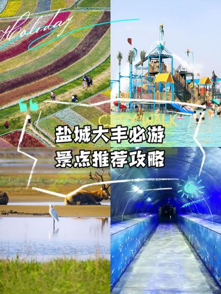 大丰哪里好玩_大丰一日游路线