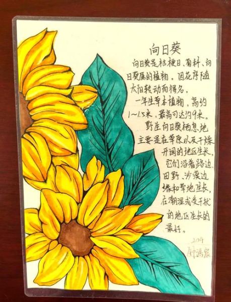 适合小学生看的植物书有哪些_植物小百科读书推荐卡怎么用