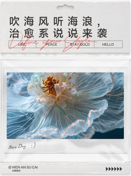 如何用海浪声表达情感_海浪声音治愈吗