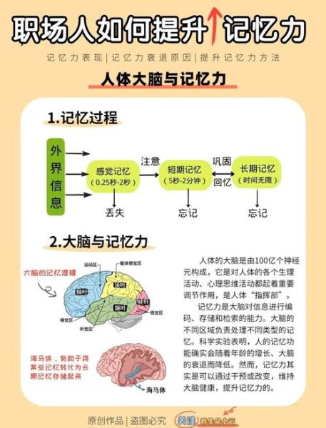 如何提升记忆力_记忆遗忘的原因
