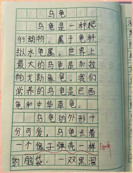 乌龟会表达情感吗_乌龟如何表达喜欢