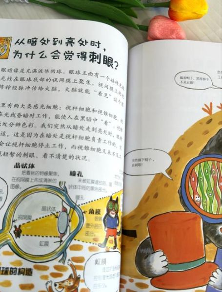 好奇心大百科书适合几岁孩子_十点读书推荐书单