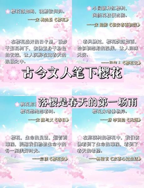 樱花的花语是什么_如何用樱花表达情感