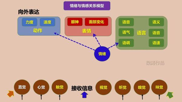 分裂情感表达是什么_如何正确表达分裂情绪