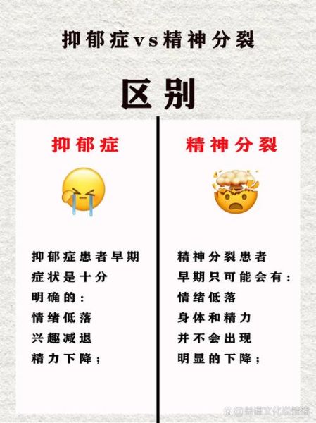 分裂情感表达是什么_如何正确表达分裂情绪