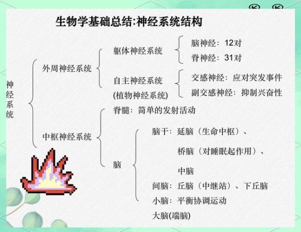 心理学第二章重点有哪些_如何高效记忆心理学概念