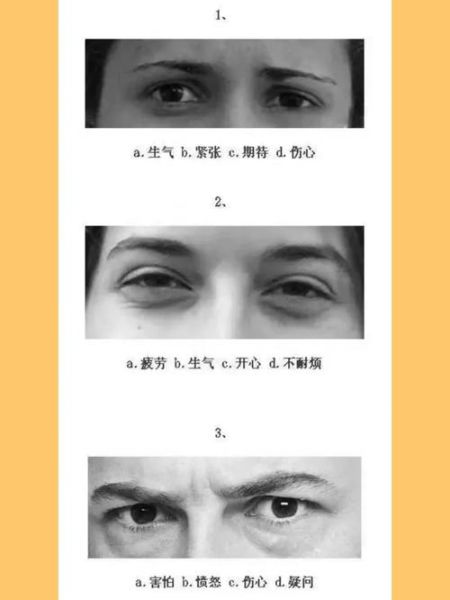 读心神探心理学_微表情识别技巧