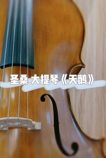 圣桑天鹅表达什么情感_如何理解