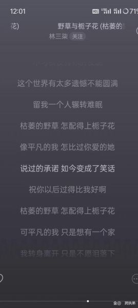 野子表达情感_野子歌词含义是什么