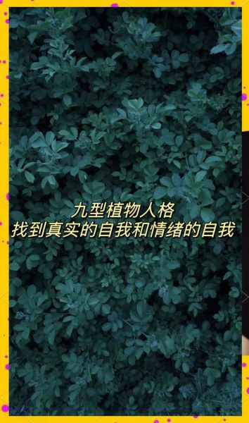 植物会表达情感吗_植物情绪如何感知