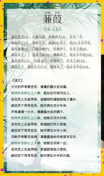 蒹葭表达了什么情感_诗经蒹葭的情感内涵