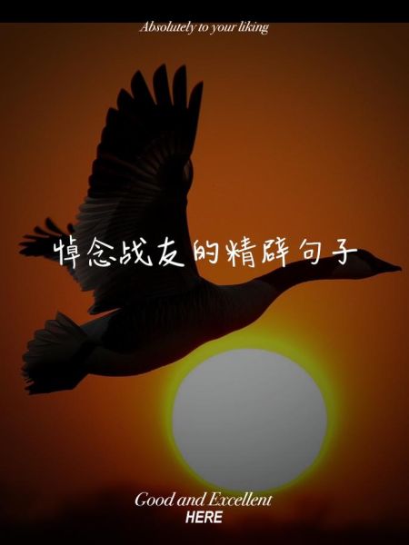 战友离世如何寄托哀思_怀念战友的感人句子