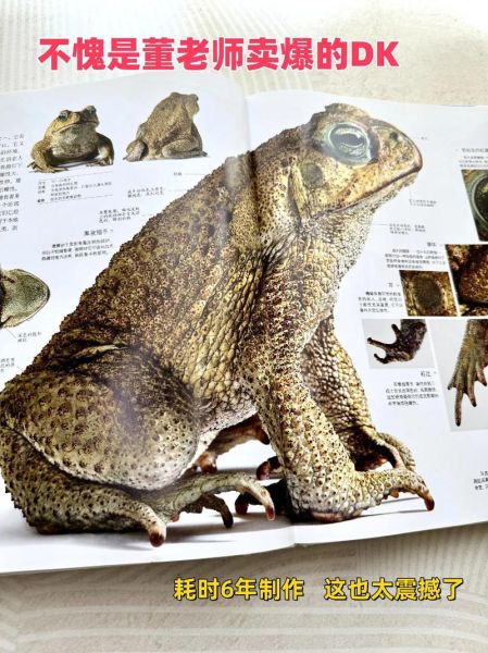 博物大百科第一章讲了什么_博物大百科第一章核心内容