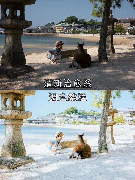 如何拍出治愈系照片_治愈系照片怎么调色