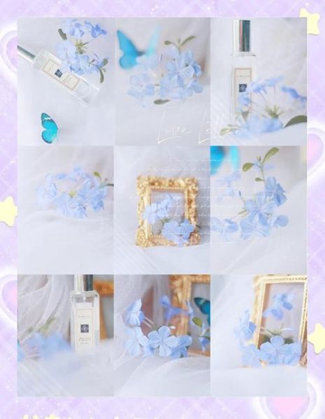 如何拍出治愈系照片_治愈系照片怎么调色