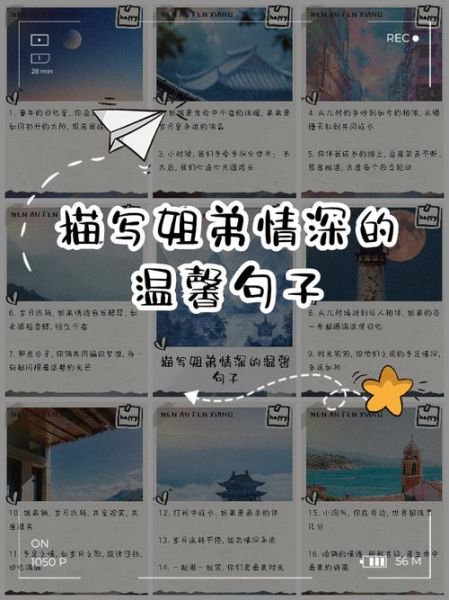 姐弟之间如何表达情感_姐弟情感表达方式有哪些