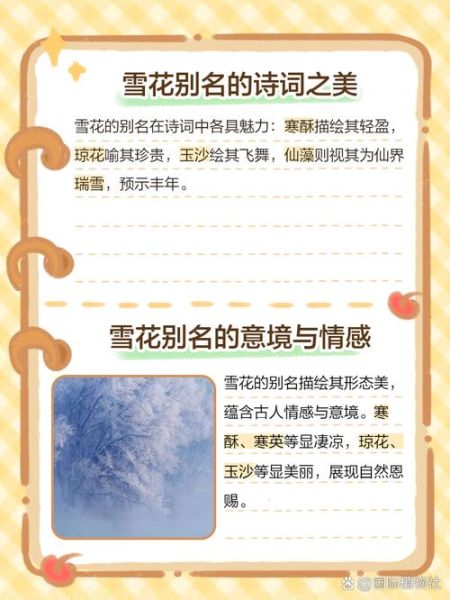 雪花代表什么情感_雪花的浪漫寓意