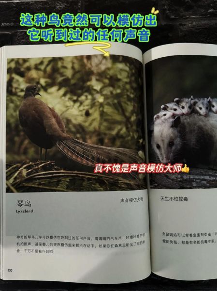 自然百科全书适合几岁孩子_如何高效使用自然百科全书