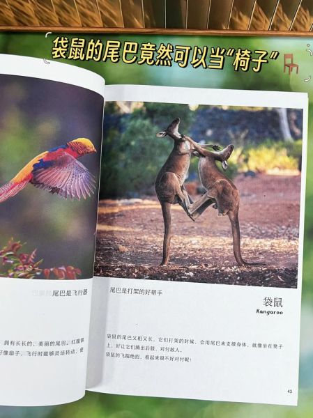 自然百科全书适合几岁孩子_如何高效使用自然百科全书