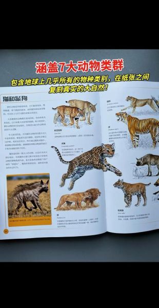 动物百科第一章讲了什么_如何快速抓住核心