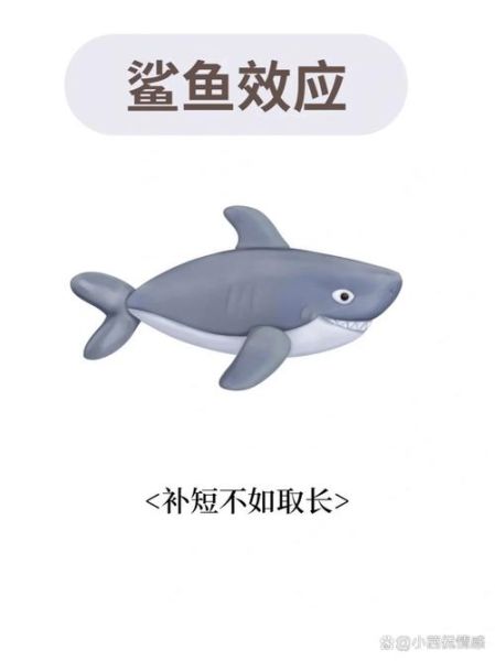 鲨鱼会哭吗_鲨鱼如何表达情感