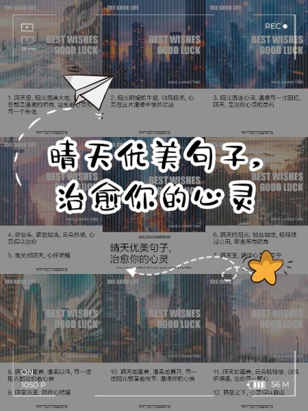 晴天表达的情感是什么_如何描写晴天心情