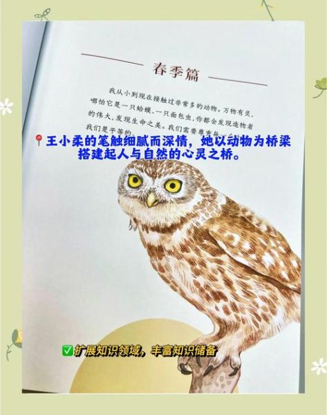 动物百科有声点读书app哪个好_如何挑选适合孩子的版本