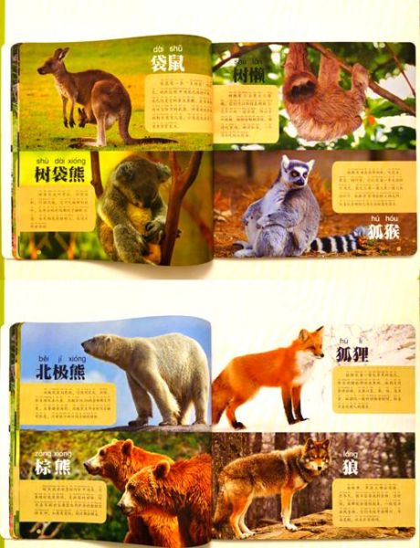 儿童动物百科怎么选_动物百科适合几岁读