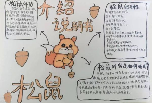 动物认知能力有多强_动物认知大百科读书笔记