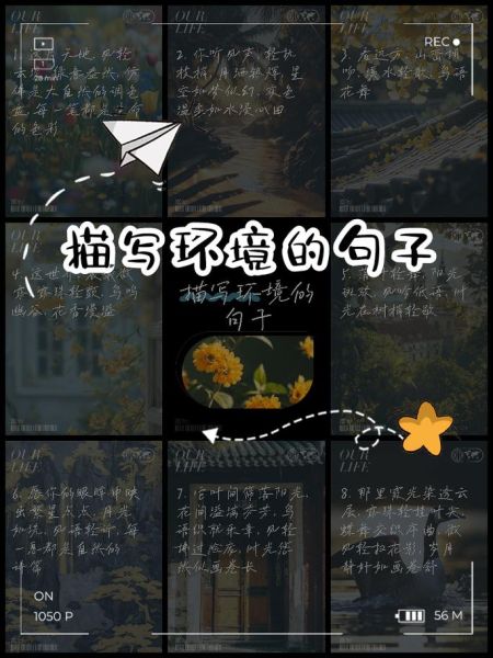 如何通过环境描写表达情感_环境描写有哪些技巧