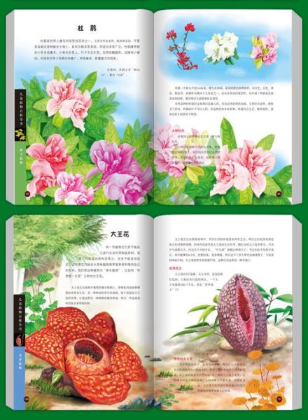 儿童百科全书推荐_哪些版本适合3-12岁