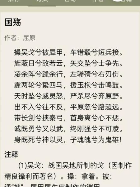 国殇表达了什么情感_如何理解国殇的悲壮