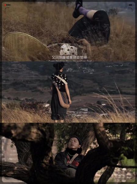 孤岛之歌表达了什么情感_如何理解孤独与救赎