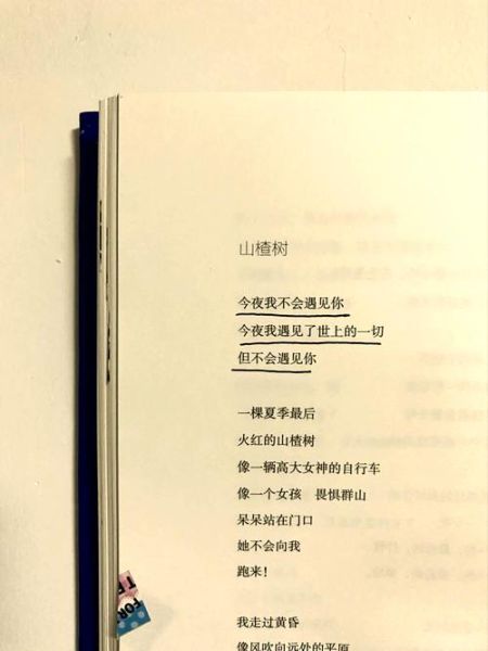 海子诗歌情感如何表达_海子诗歌情感表达技巧