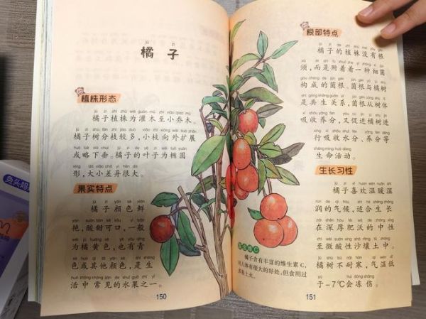 读书百科书是什么_读书百科书怎么用