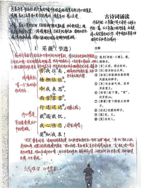 采薇节选表达了什么情感_如何理解戍边思乡