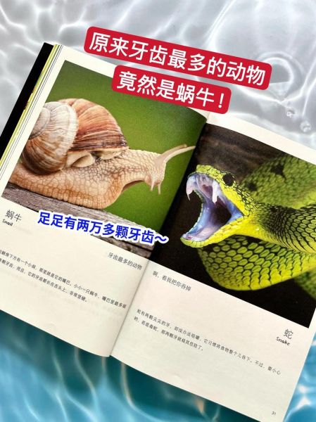 全景自然百科全书适合几岁孩子_如何高效阅读