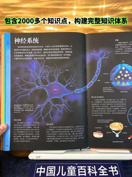 全景自然百科全书适合几岁孩子_如何高效阅读