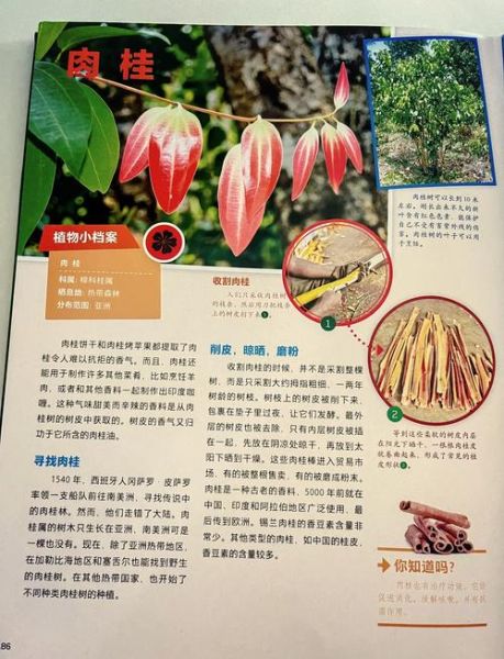 植物大百科电子版哪里下载_植物百科PDF免费获取方法