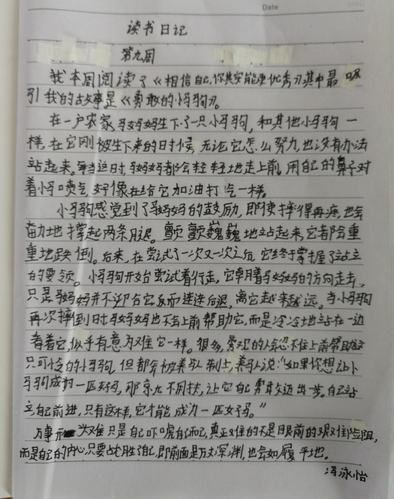 自然奇迹大百科读书日记_怎么写