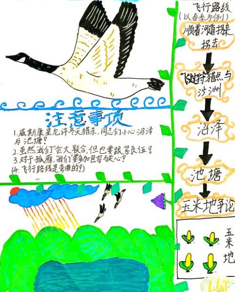 鸟类为什么迁徙_如何观察鸟类迁徙