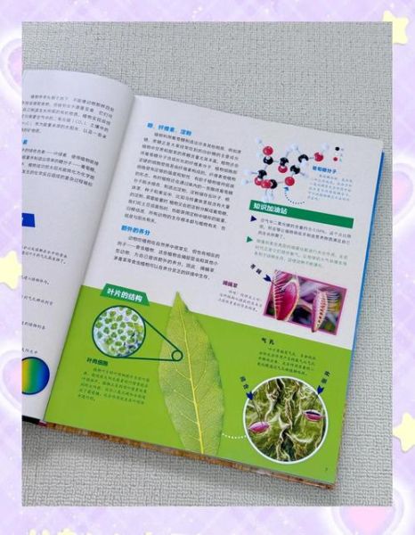 植物百科适合孩子读吗_如何高效阅读植物百科