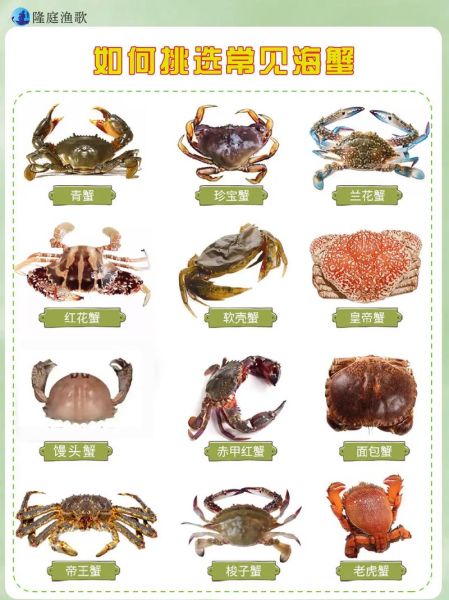 海蟹怎么挑选_海蟹百科知识